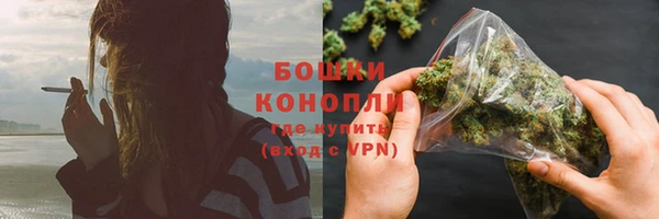 сатива Дубна