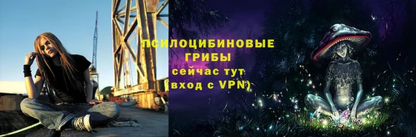 ECSTASY Пролетарск