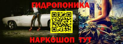 спайс Кинель