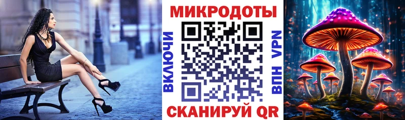 Галлюциногенные грибы Cubensis  кракен рабочий сайт  Котлас 