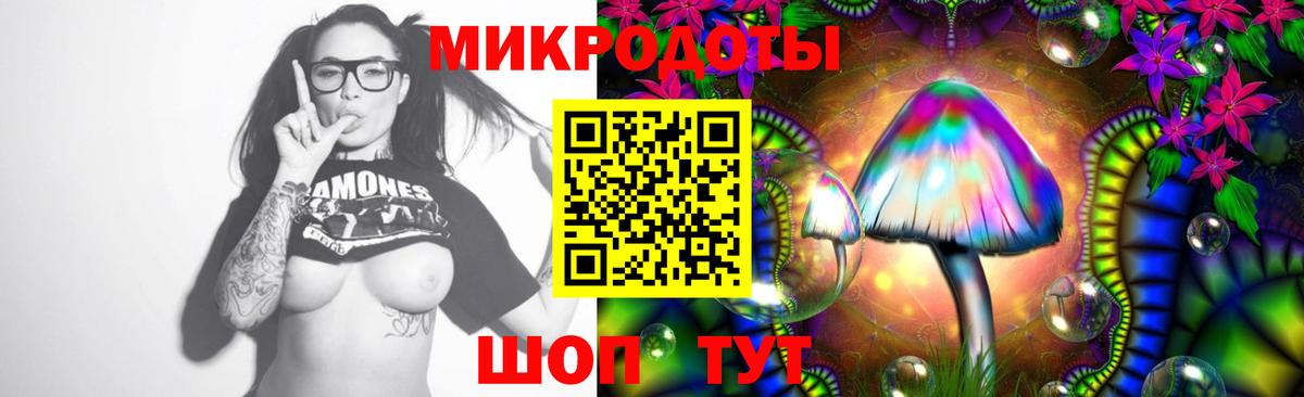 Псилоцибиновые грибы прущие грибы  даркнет сайт  Вход с VPN  Котлас  Галлюциногенные грибы мухоморы 